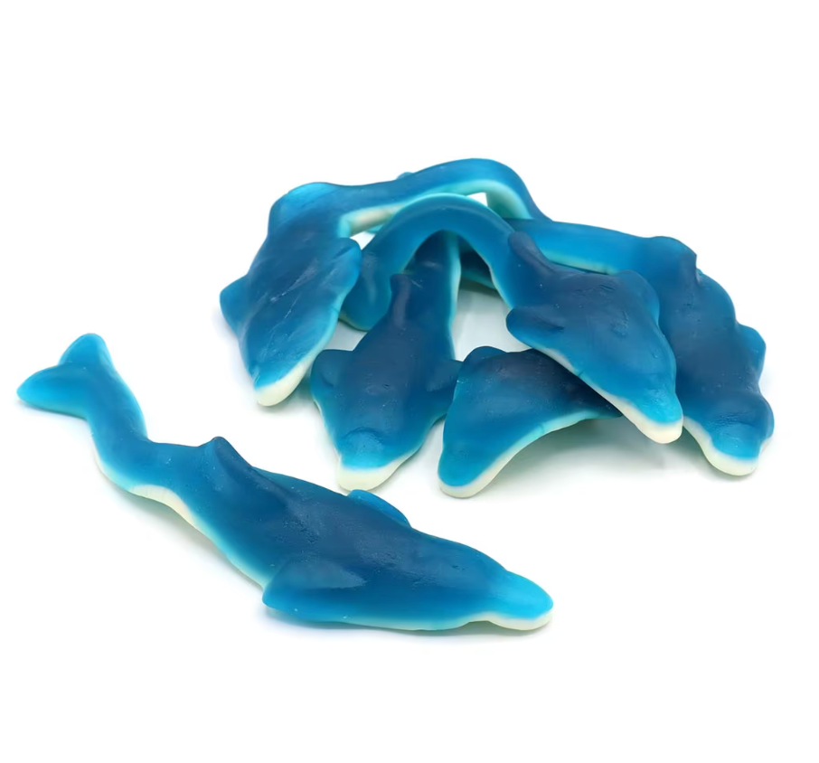 Giant Dolphins