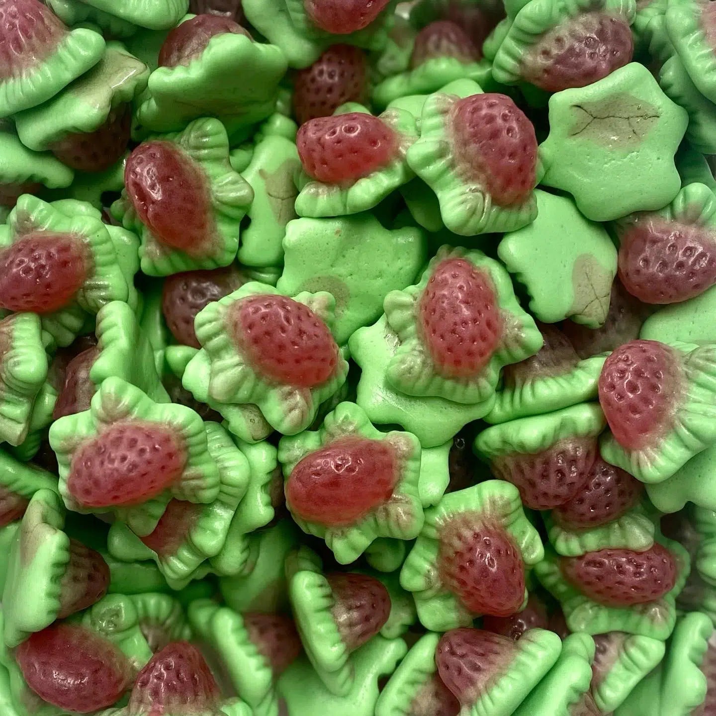 Create Your Own | Jelly Filled